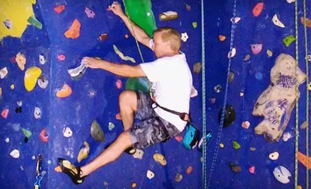 $9 for a One-Day Climbing Pass at Xtreme Plex's The Vertical Challenge in Monee ($20 Value) - Primary Image
