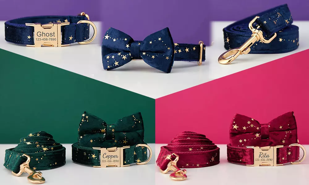 Grab paw-some Custom Pet Collars for your furry buddies