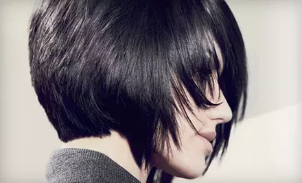 $20 for Haircut, Deep-Conditioning Treatment, and Style (Up to $45 Value) or $23 for $50 Worth of Services at Regis Salon - Primary Image