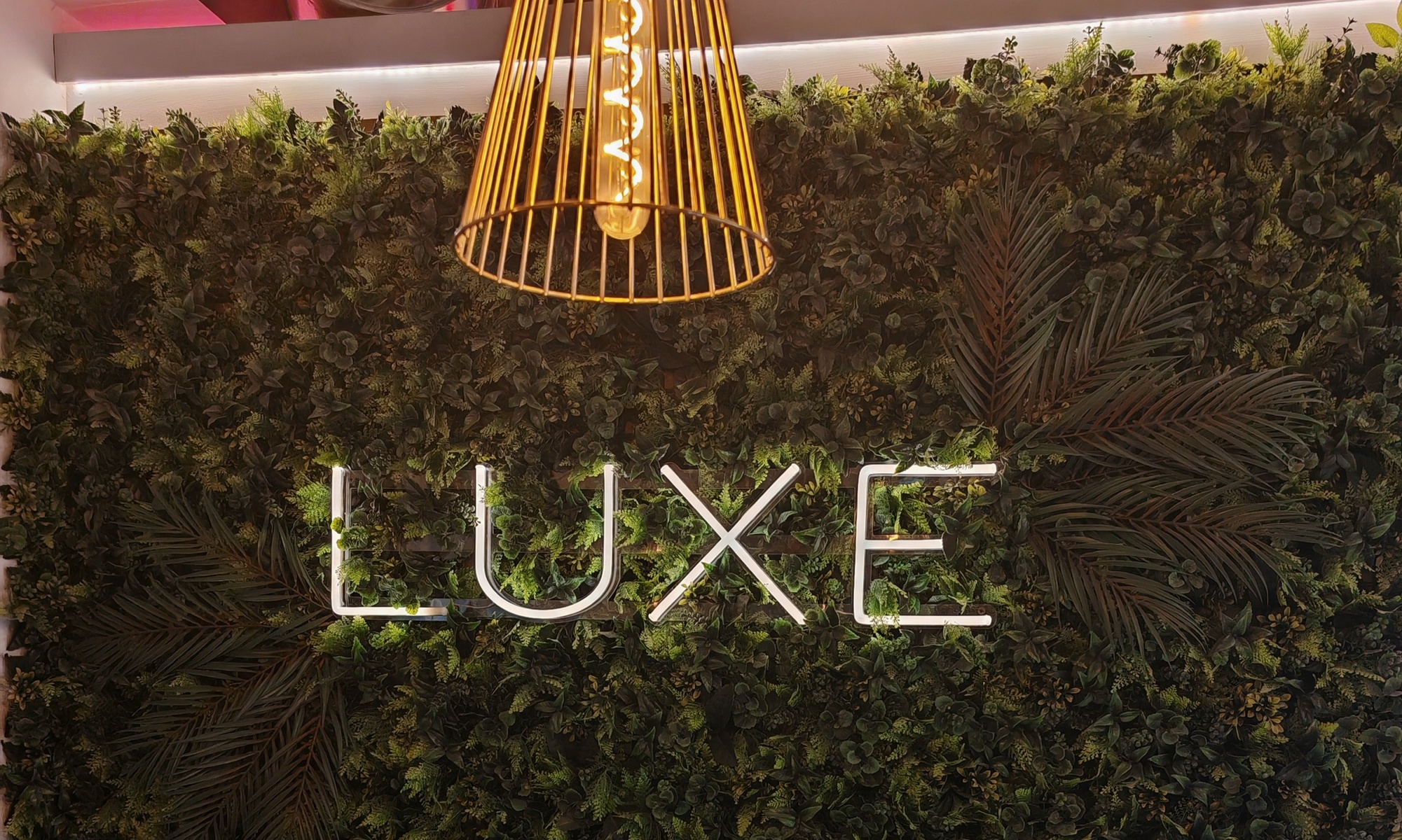 Mesotherapy or PDO Thread Face Lift for Radiant, Youthful Results