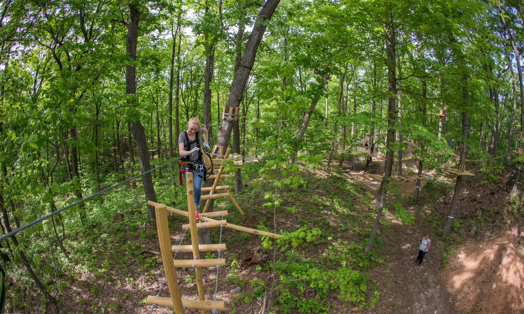 Aerial Adventure Course for Two, Four, or Six at TreEscape Ariel Adventure Park (Up to 54% Off) - Primary Image
