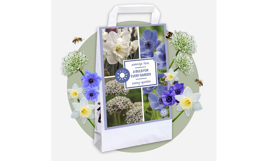 Image 4: Lot de 35 bulbes mélangés