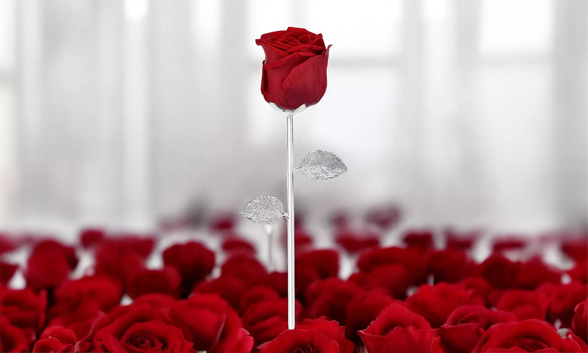 Natuurlijke rode roos op steel van het merk SC Crystal