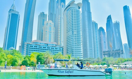 30 Mins Jet Ski Rental for One - BLUE SAFARI WATERS SPORTS L.L.C