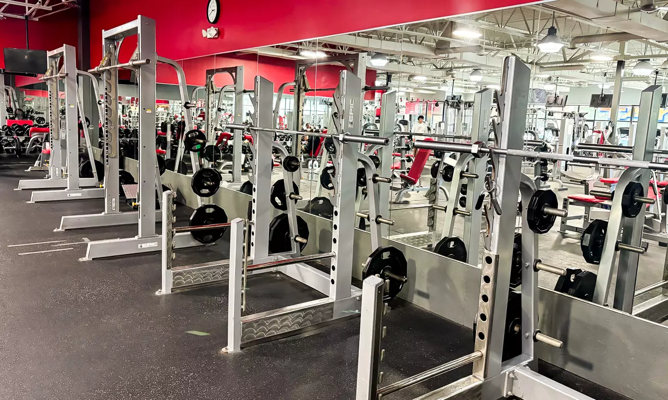 What to expect media