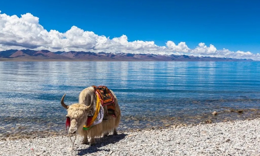 Image 18: ✈ China: 10–12-Day Tour with Flights, Hotels & Guided Sightseeing 