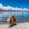 Image 18: ✈ China: 10–12-Day Tour with Flights, Hotels & Guided Sightseeing 
