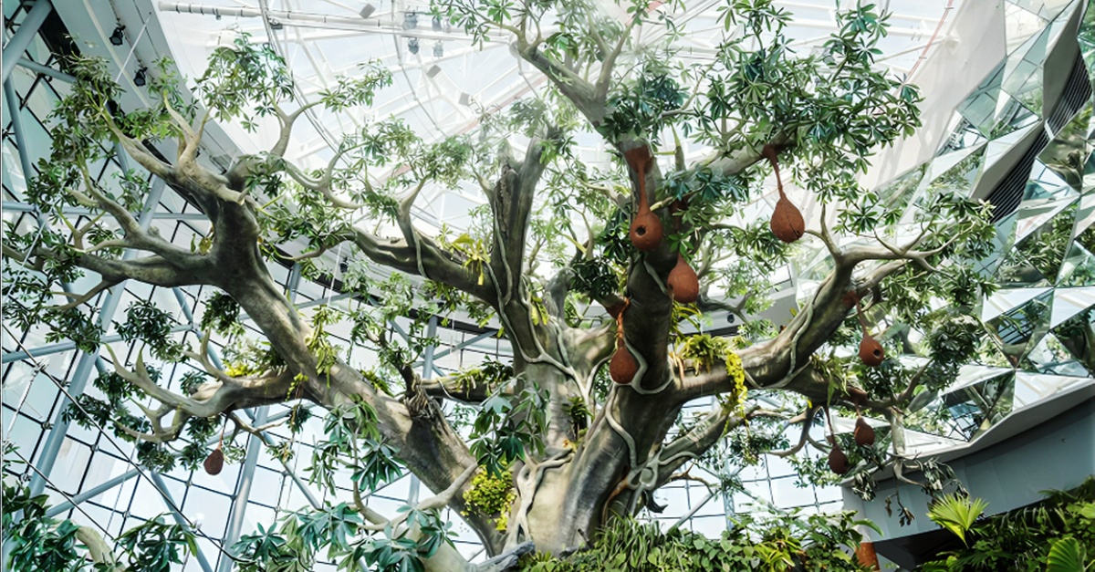 Skip The Line At The Green Planet Dubai: Tropical Rainforest Adventure Skip The Line At The Green Planet Dubai: Tropical Rainforest Adventure