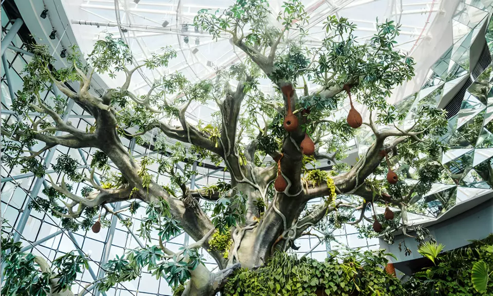 Skip the Line at The Green Planet Dubai: Tropical Rainforest Adventure