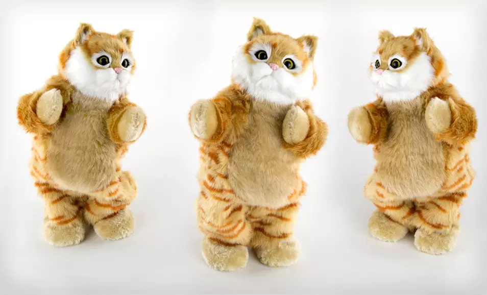 $24.99 for a Party Animal Dancing Cat or Dog Speaker ($32.07 List Price). Free Shipping. - Second Medium