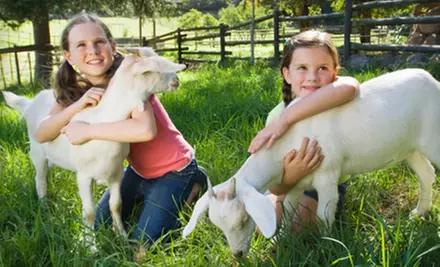 $10 for a Green Meadows Petting Farm Outing for One in Kissimmee (Up to $22 Value)  - Primary Image