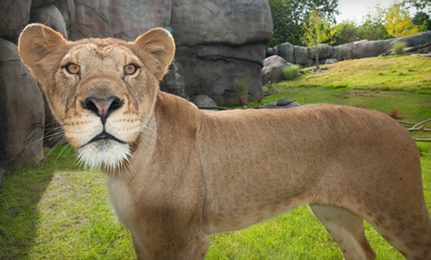 oregon-zoo-up-to-51-off-admission-oregon-zoo-groupon