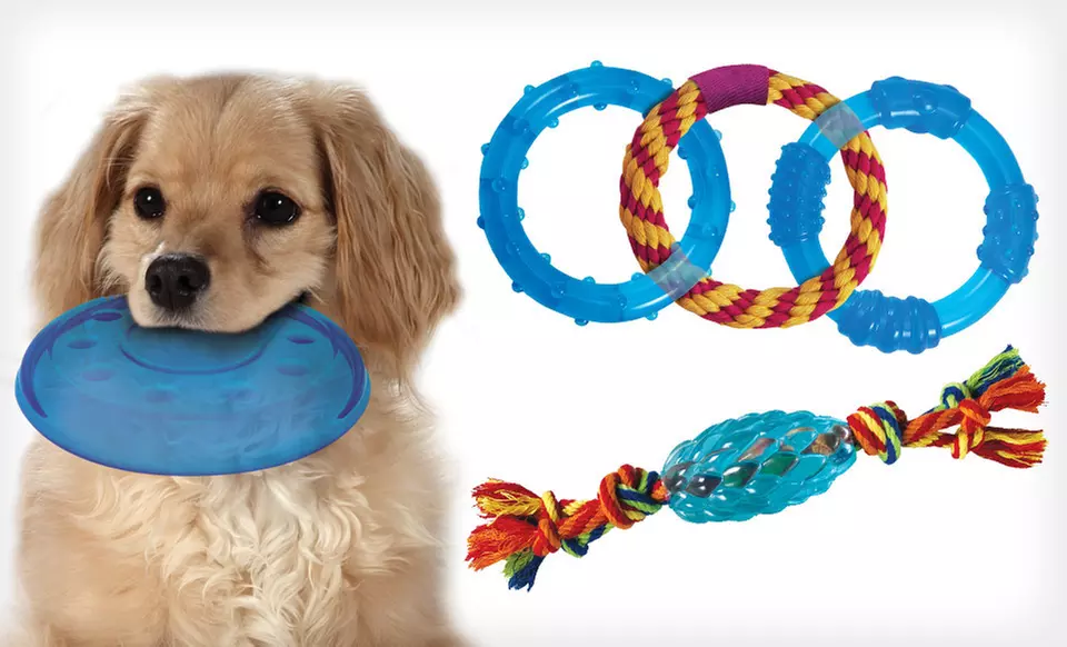 Petstages Orka Dog Toys (Up to 27% Off). Seven Options Available. Free Shipping on Orders $15 and Up. Free Returns. - Second Medium