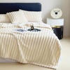 Image 1: Thick Plush Striped Winter Throw Blanket 