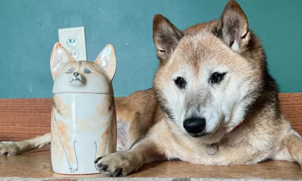 Celebrate your pet with a Custom Ceramic Urn made with love!