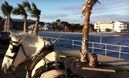 $45 for a 30-Minute Carriage Ride in Downtown Cedar Key from Classic Carriages (Up to $95 Value) - Primary Image