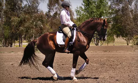 $45 for Evaluation and Two Riding Lessons at Stepping Stone Farm in Temecula ($205 Value) - Primary Image