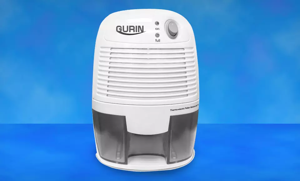 Gurin Electric Compact Dehumidifier - Primary Image