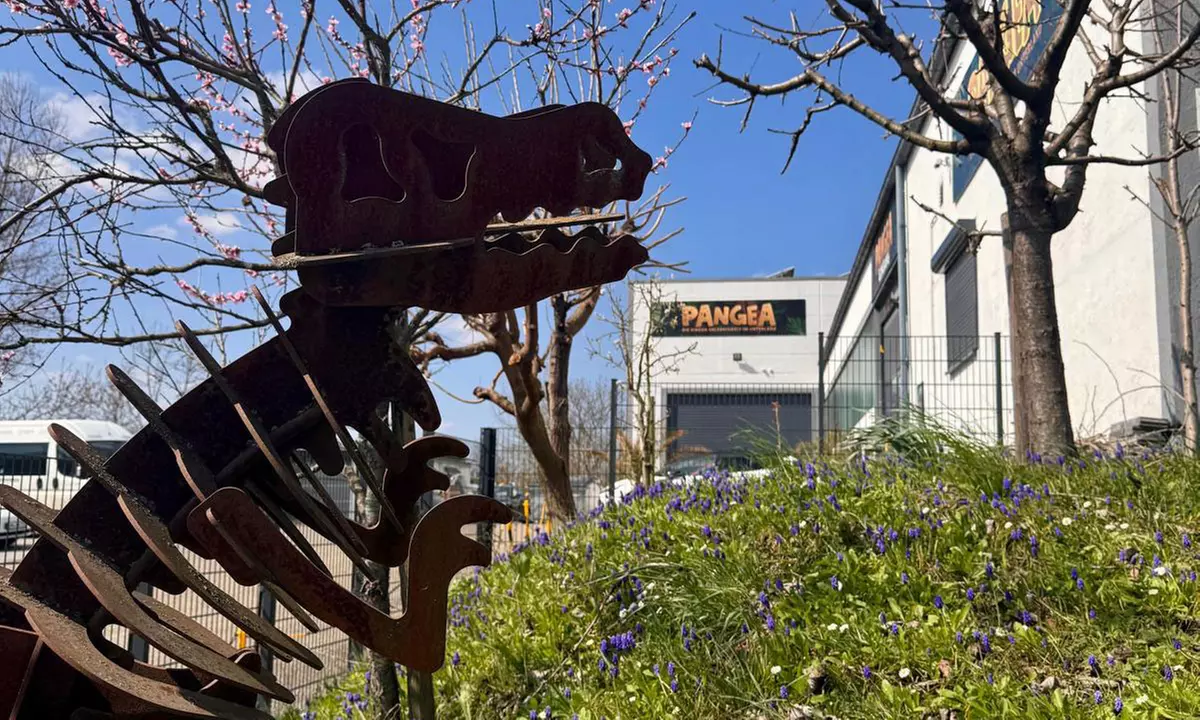 Eintritt für 1-2 Erwachsene & 1-2 Kinder mit Slush-Eis & Pangea Becher