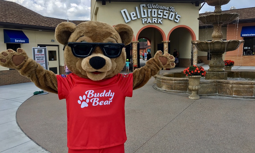 Image 6: All-Day Fun Pass at DelGrosso's Park - Rides & Water Park Admission!