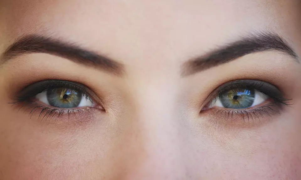 Up to 48% Off Brow or Lip Waxes at Olga's Beauty Spa