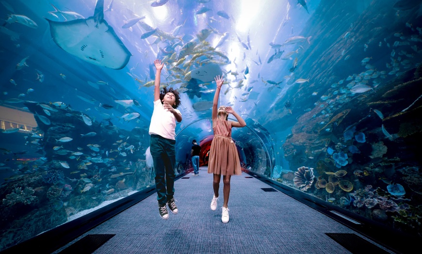 Image 1: Entry for 1, 2 or 4 Adults to World’s Largest Suspended Aquarium