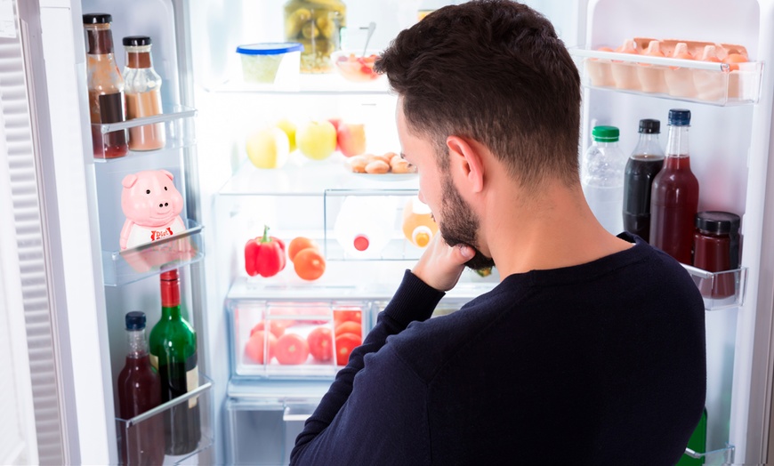 Image 2: Diet Piggy Fridge Guardian