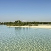 Image 10: 30 or 60-Minute Quick Scenic Cruise in Abu Dhabi for Up to 2, 3, or 4