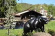 One- or Two-Night Stay with Option for Lift Tickets at Brookside Resort in Gatlinburg, TN. Four Options Available. - Second Medium