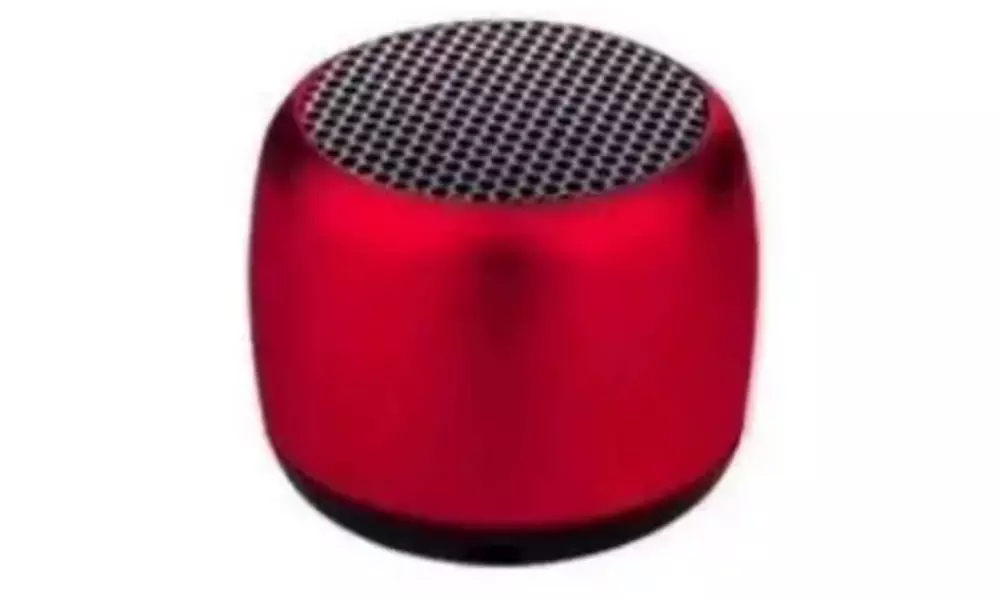 Portable Bluetooth Speaker, 3D Surround Sound & Built-In Microphone