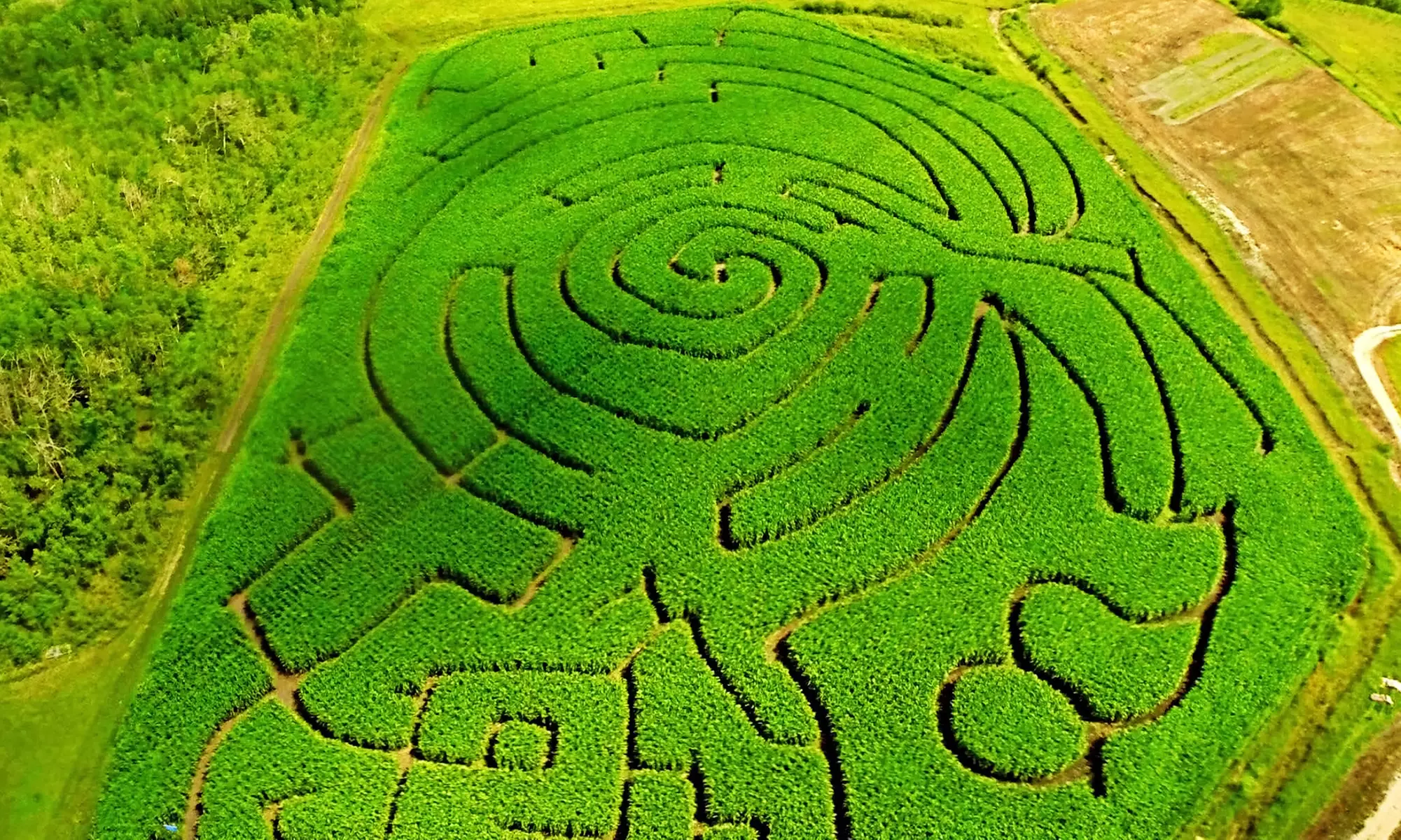 Evening Fall Outing for Two or Four with Corn Maze, Wagon Train, and Petting Zoo at Deer Meadow Farms (42% Off) - Primary Image