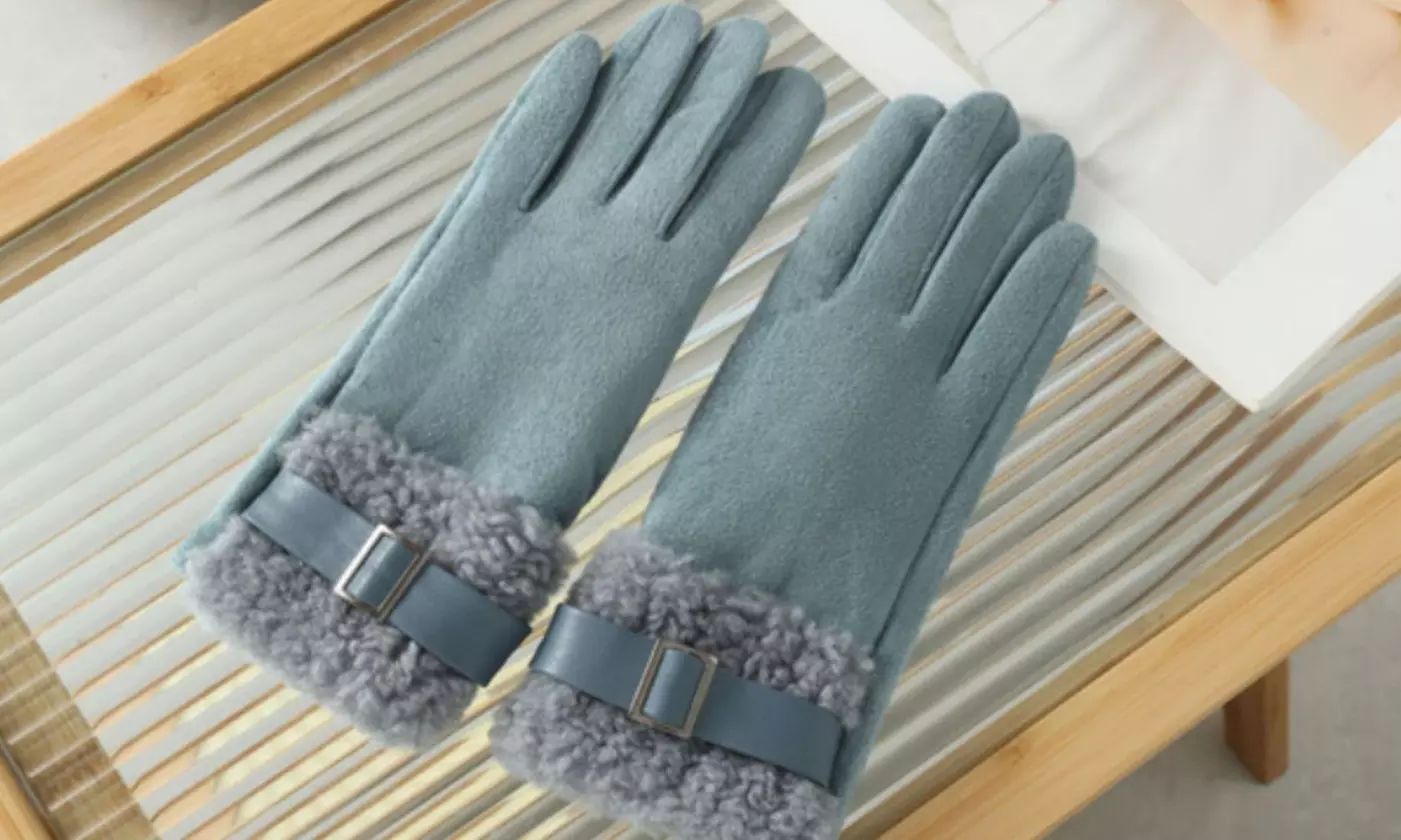 Women's Touch Screen Winter Warm Gloves