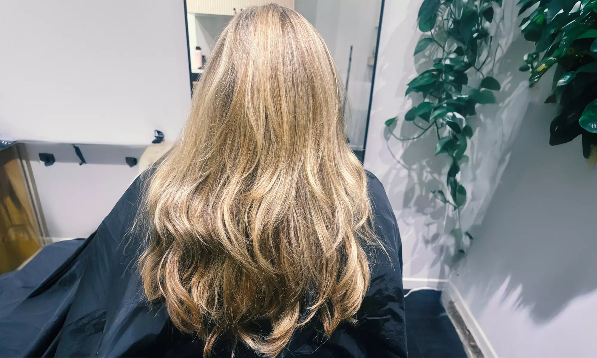 Haircut, Shampoo, Blow Dry & Conditioning for a New Look