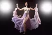 Festive Cabaret & Burlesque Show on December 20 at 7 PM  - Up to 57% Off - Image 4
