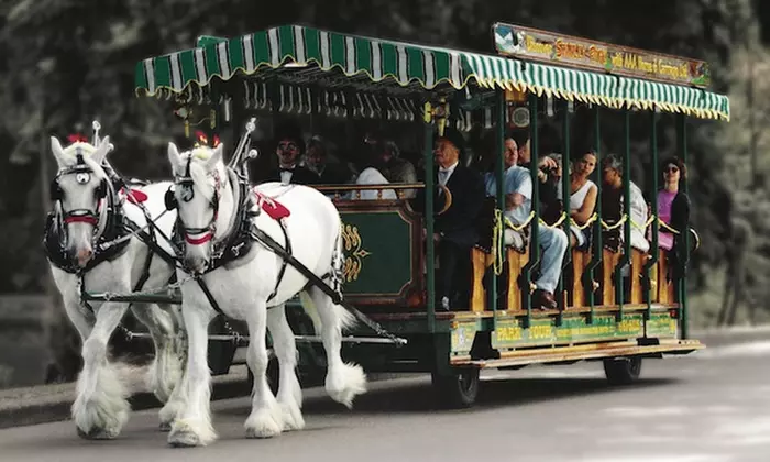 Carriage Tour for Two or Four from Stanley Park Horse-Drawn Tours (Up to 38% Off) - Primary Image