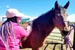 Explore the Joy of Horseback Riding for All Ages at Miercoles Moon (Up to 47% Off) - Second Medium