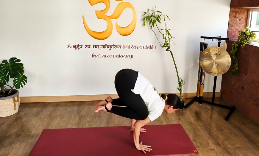 Image 6: 1 o 3 meses de clases de yoga o meditación para 1 o 2 personas 