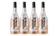 Choose Your Pack of Ready-to-Drink Wine-Based Cocktails from Splash Wines– Margarita, Piña Colada, or Bellini - Second Medium