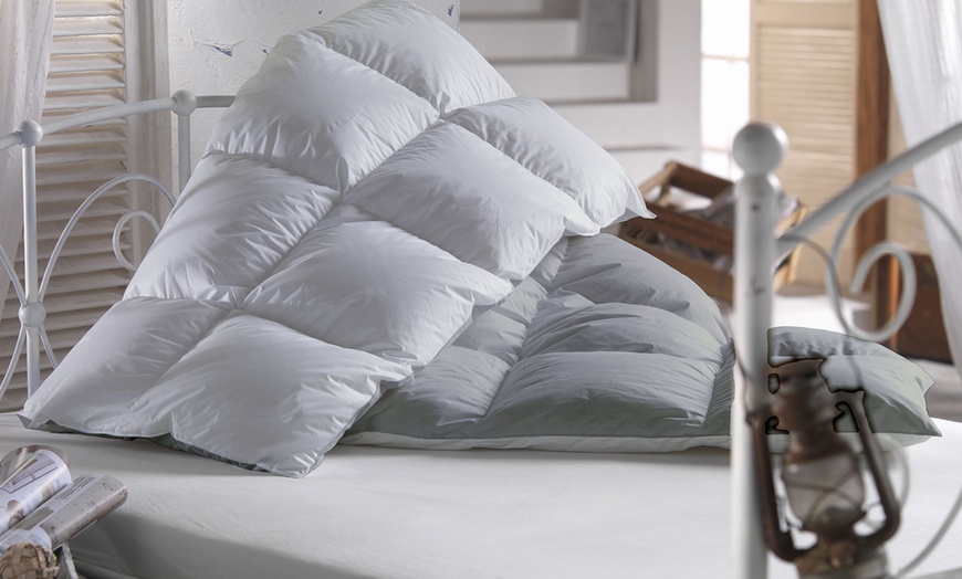Image 3: Dual Side Winter Duvet