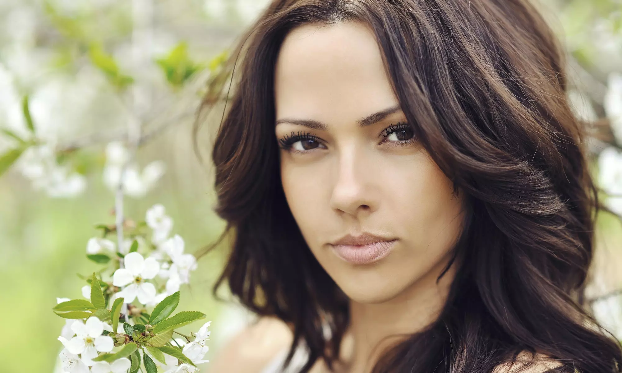 Haircut with Shampoo and Style from Salon D (60% Off) - Primary Image