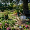 Image 5: Up to 47% Off Admission or Membership - Fresno Discovery Center