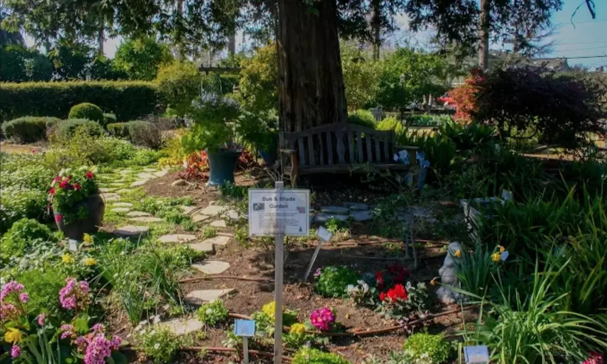 Up to 41% Off Admission or Membership - Fresno Discovery Center