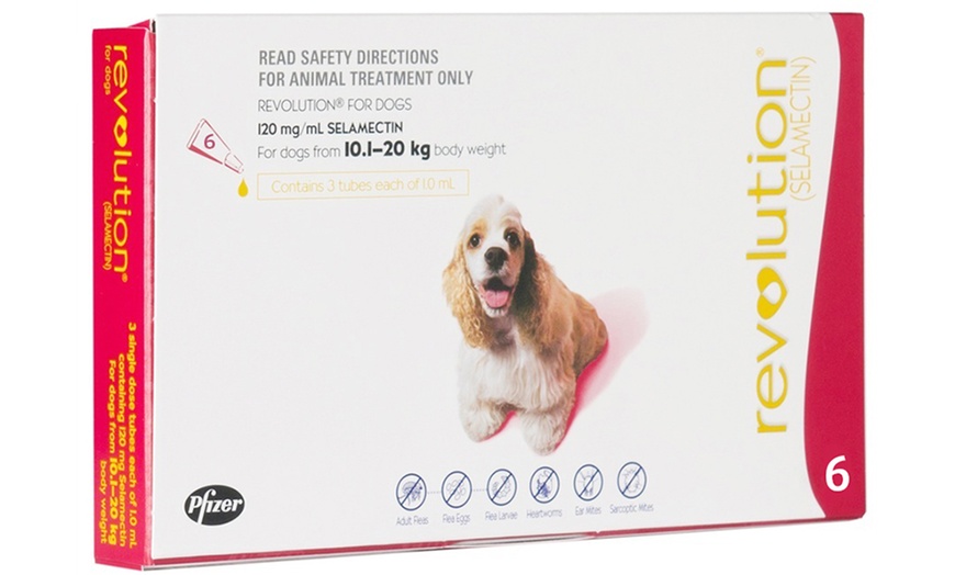 Image 6: Revolution® Flea Treatment 