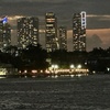 Image 5: NYE on a Luxury Yacht with Open Bar, Great Music, and Skyline Views 