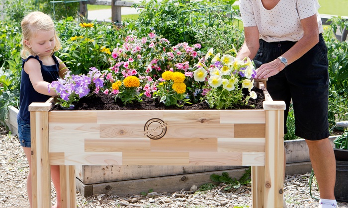 PatioCraft Cedar Planters | Groupon