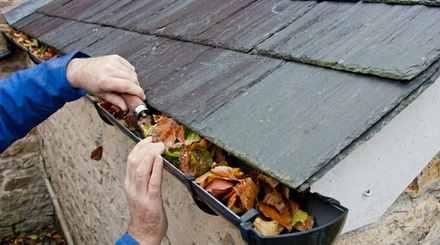 Gutter Cleaning for a One Story Home - Vargas pressure washing