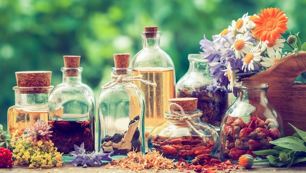 Master Herbalist Online Bundle