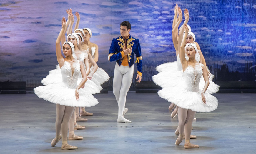 Image 3: Swan Lake: 1 Ticket am 30. oder 31.05.2025 um 20 Uhr