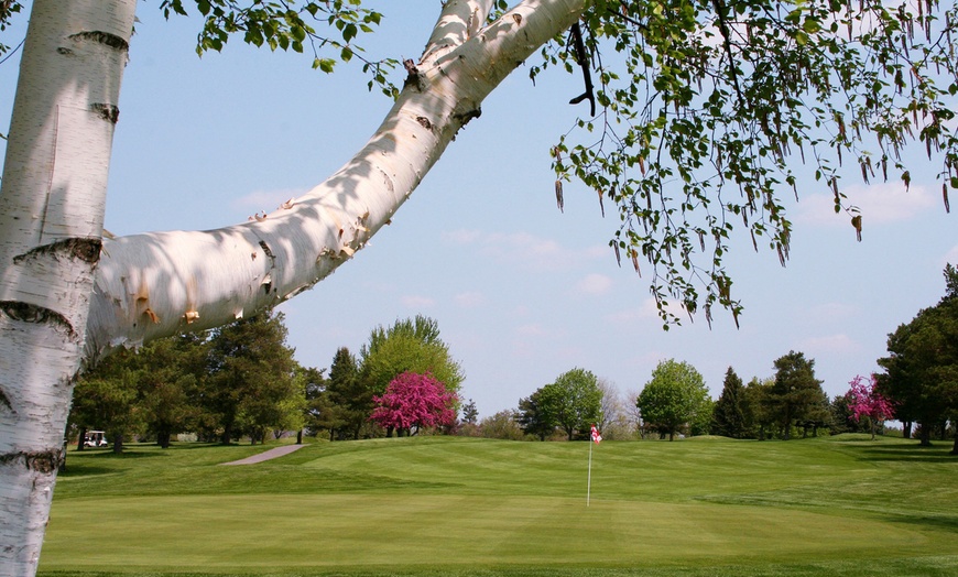 Image 5: Championship Golf Rounds & Driving Range – Finger Lakes Region