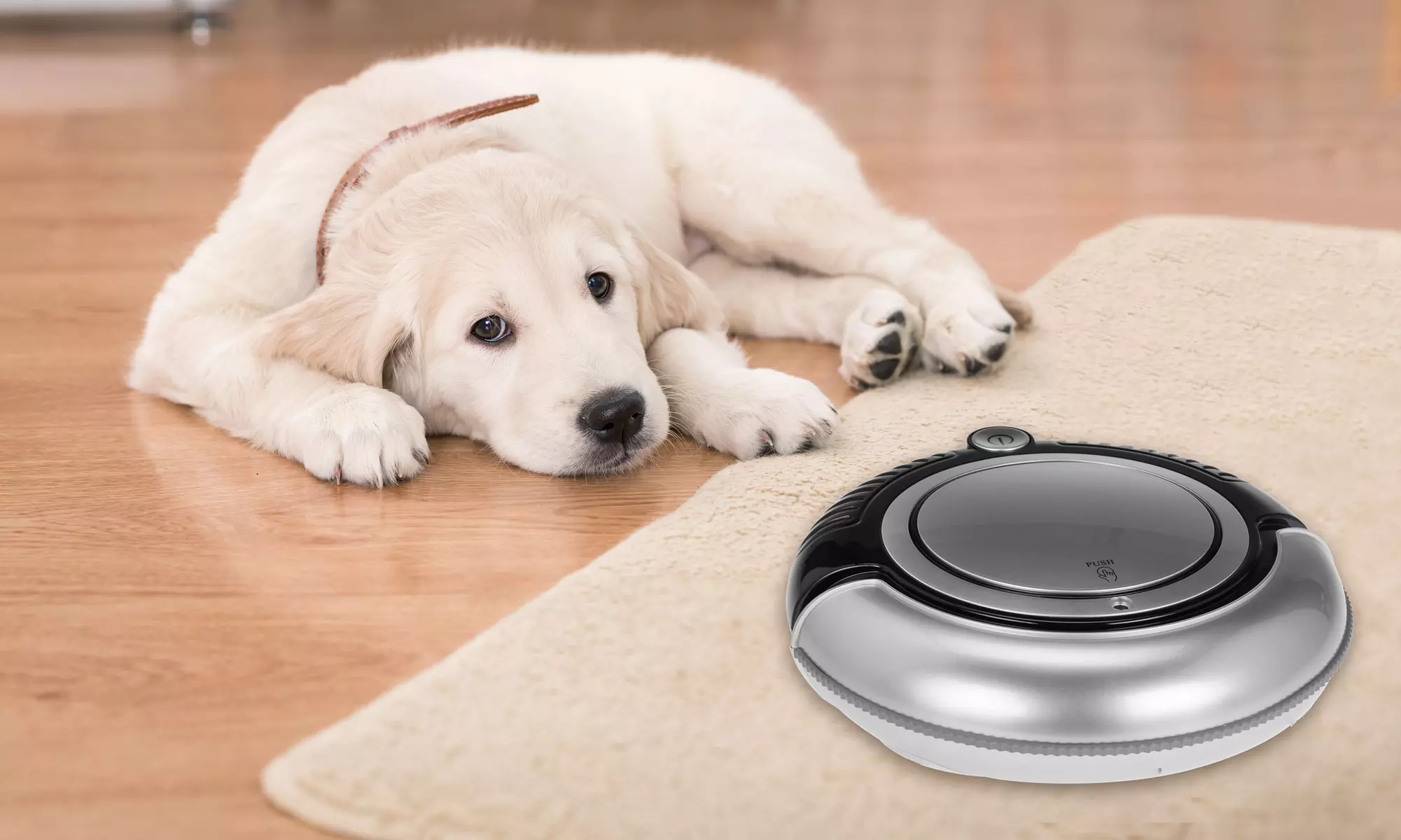 Kalorik 2-in-1 Robotic Vacuum Cleaner and Mop - Primary Image